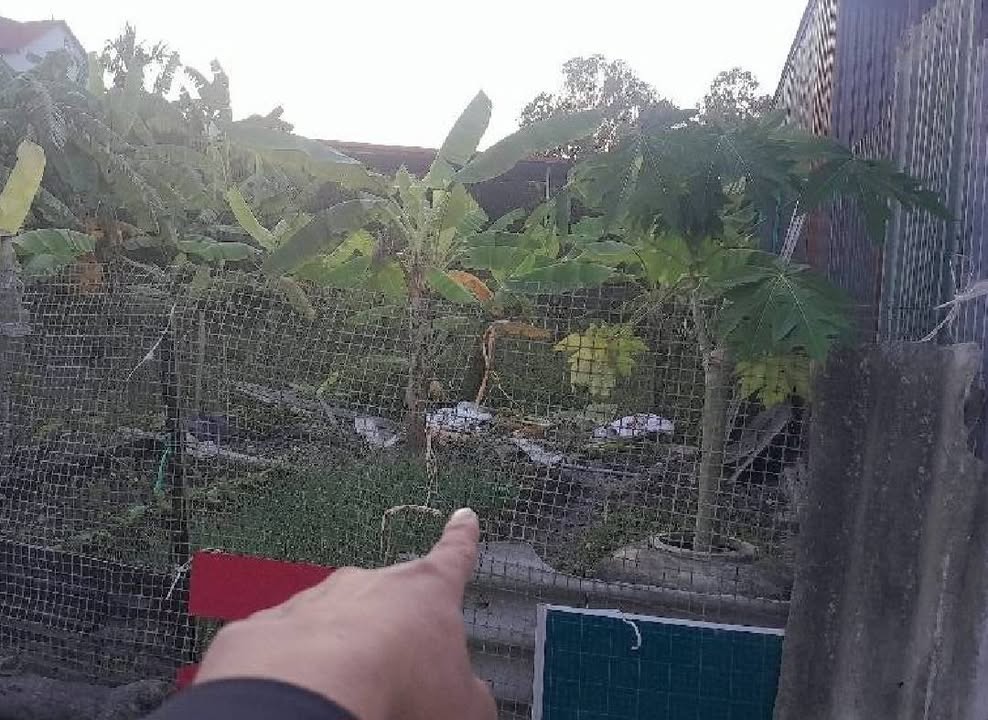 Đất nền Thôn Lạc Nông Uy Nỗ 94m² - Sổ đỏ sẵn sàng, đầu tư sinh lời!