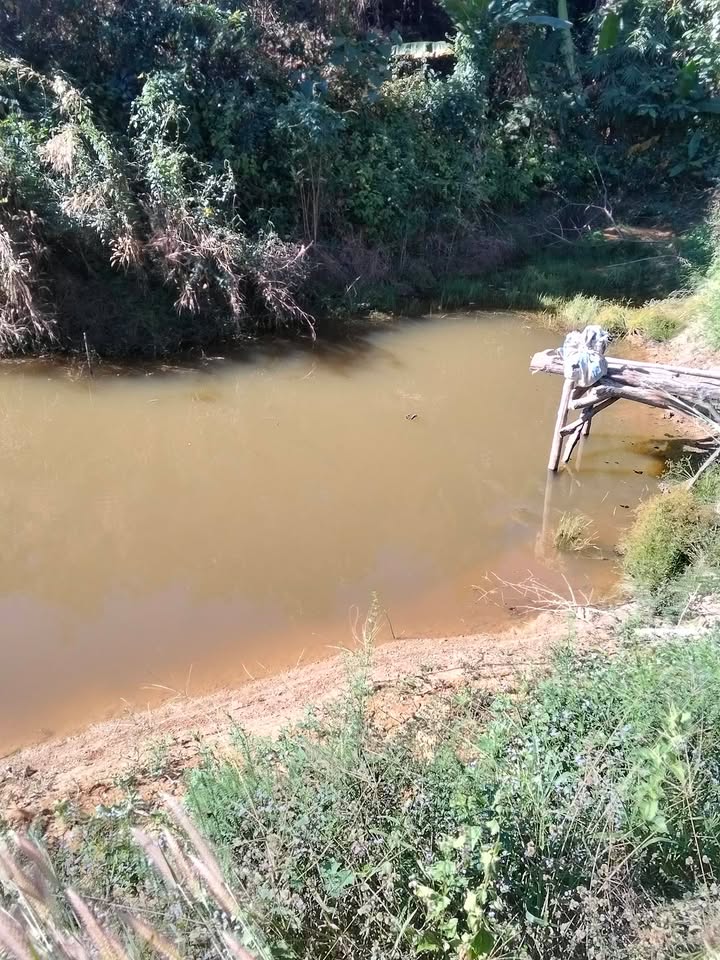 Bán Gấp 1.2ha Đất Đồi Đạ Lây, Lâm Đồng - Sổ Chung, 4000 Cây Bầu Gió