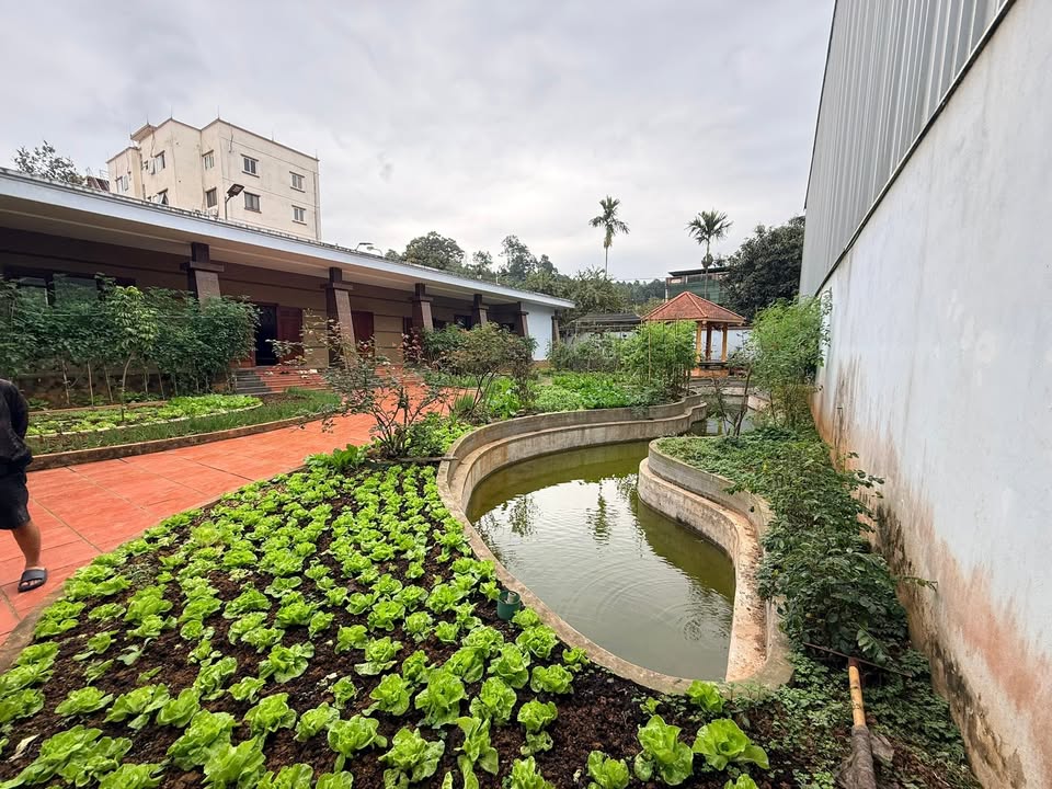 Kho Xưởng Lào Cai 7390m² – Gần Cửa Khẩu, Container Thoải!