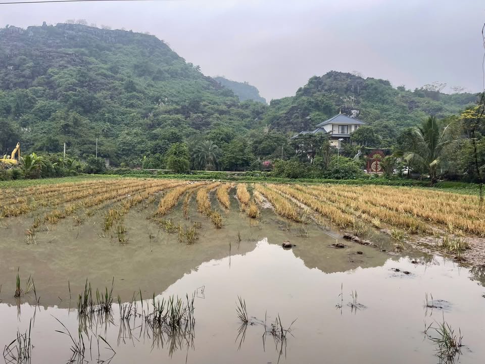 Đất Vườn Ninh Hòa 4000m² - Lưng Tựa Núi, Sông View - Lý Tưởng Nghỉ Dưỡng