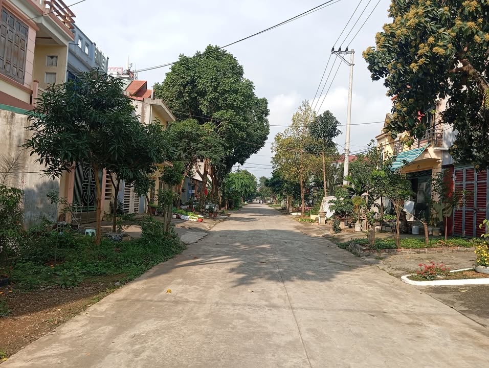 Đất nền Tây Sơn Kim Sơn 100m² - Sổ đỏ chính chủ, tiềm năng sinh lời!