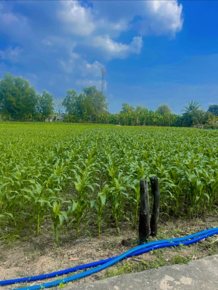 Đất nền Gia Canh 570m² – Đất thổ cư 100%, sổ đỏ chính chủ!