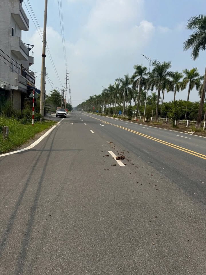 Đất nền Đan Phượng 74m² - Sổ đỏ sẵn sàng, sát Vinhomes Wonder City