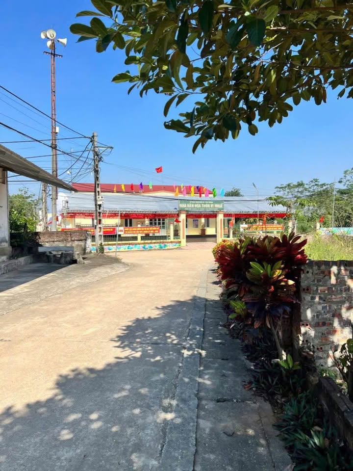 Đất nền Ba Vì 203m² mặt tiền 9m - Sổ đỏ sẵn, giá chỉ hơn 2 tỷ