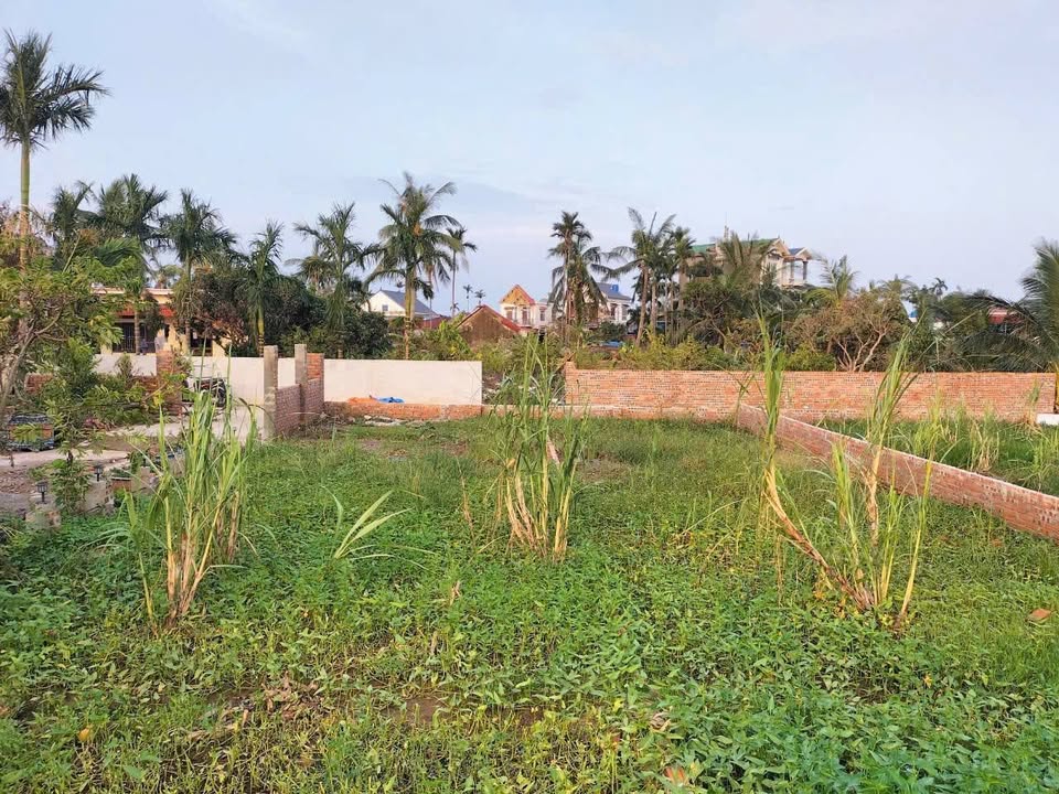 Đất Hùng Thắng, Tiên Lãng 100m² - Sổ đỏ sẵn, ô tô vào đất, gần KCN