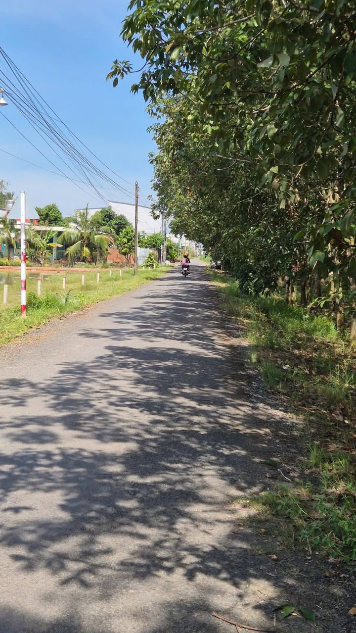 Đất nền Ấp Nam Bến Sỏi Châu Thành 150m² - Sổ đỏ chính chủ!