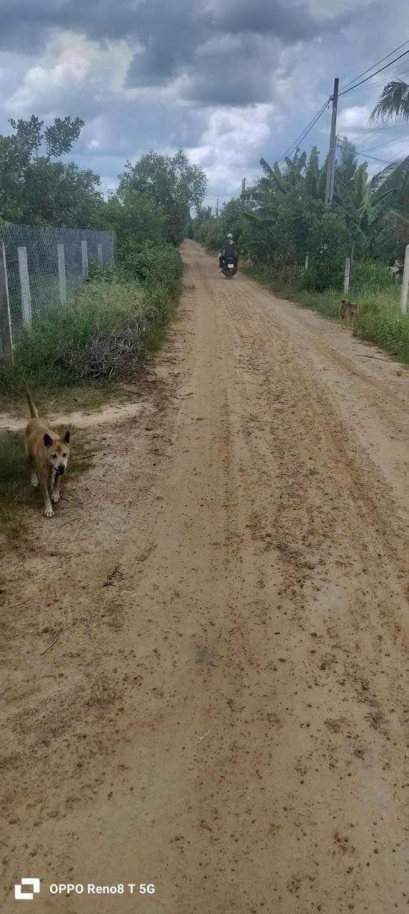 Đất nền Tân Biên 200m² giá 135 triệu - Tiềm năng tăng giá vượt trội!