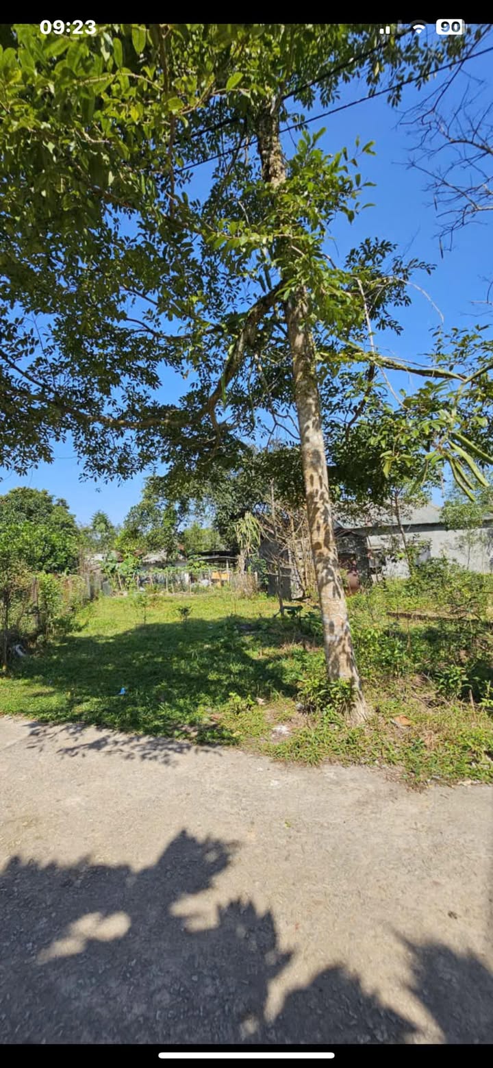 Bán đất 200m² Đường Thiên Thai, Huế - Giá 1.6 tỷ, Sẵn Sàng Đầu Tư