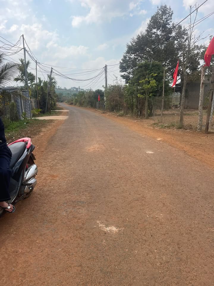 Bán Đất Đắk Song 500m² Sổ Đỏ Giá 530 Triệu - Lộc Nhanh Tay!