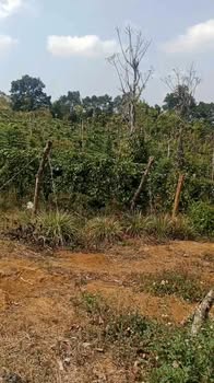 Đất nền Bắc Gia Nghĩa 16.000m² - Mặt tiền 160m, điện 3 pha sẵn!