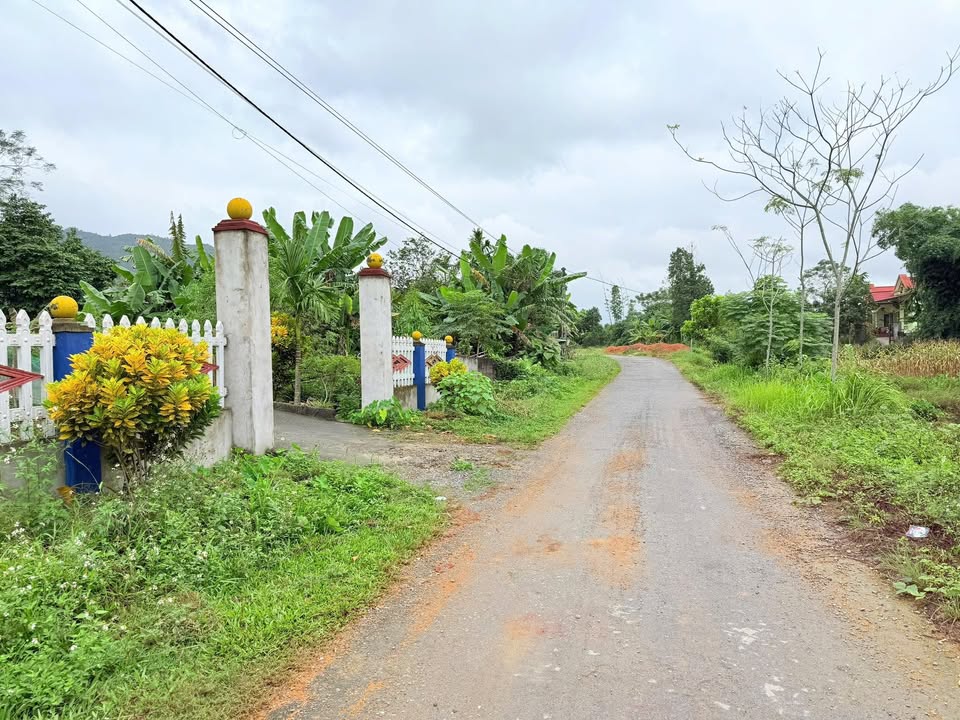 Đất nền Yên Lập Vĩnh Tường 140m² - Sổ đỏ chính chủ, tiềm năng sinh lời!