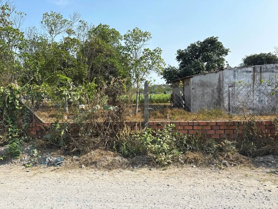 Đất Nền Mặt Tiền Đường 6m Đức Hòa Thượng - 110m² Sổ Đỏ Chính Chủ