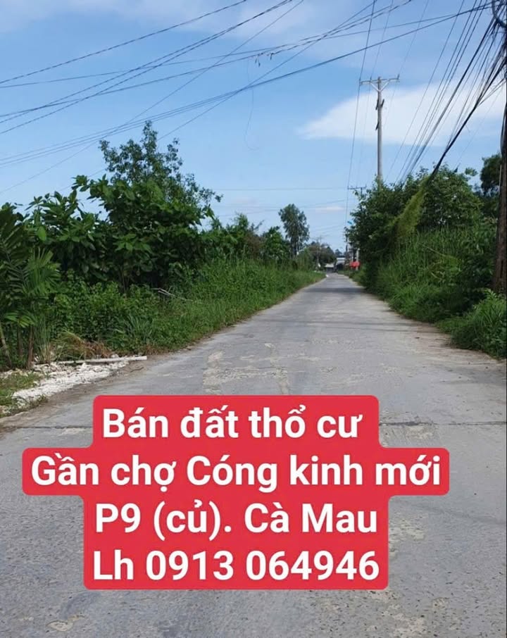 Đất Thổ Cư 116m² Phường 9, Cà Mau - Lộ 4m, Kinh Doanh Sầm Uất