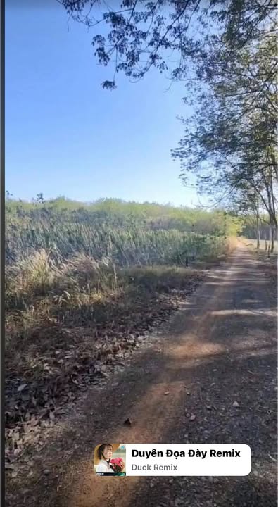 Đất nền Khu phố Tàu Ô 250m² Hơn 200 triệu - Tiềm năng tăng giá!