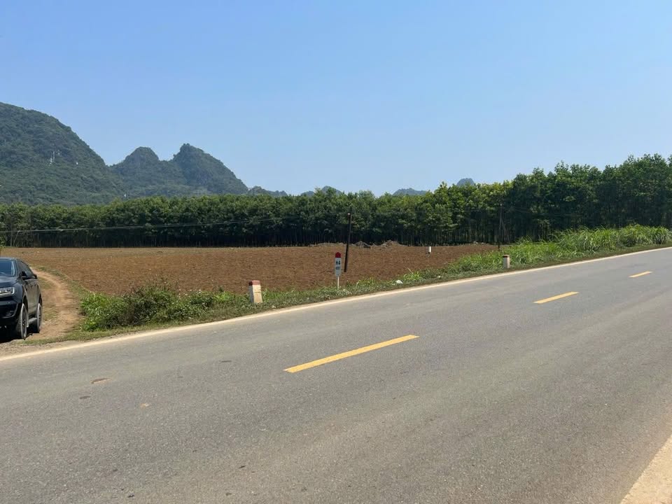 Đất nền Yên Lạc 520m² - Hơn 100 triệu, Sổ đỏ chính chủ!