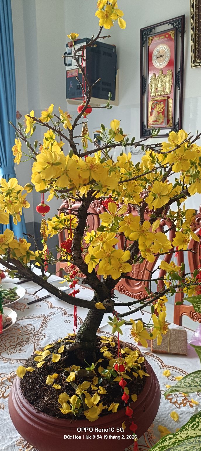 Nhà Xã Hòa Khánh Đông 132m² giá 860 triệu - Sẵn sàng ở ngay!