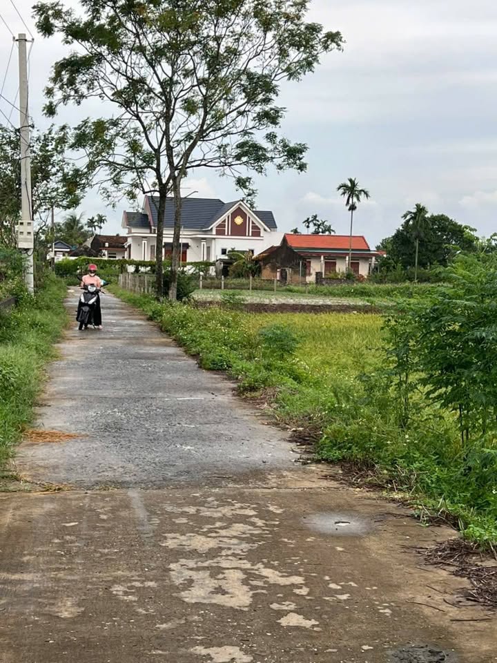 Đất Nền Hậu Lộc 200m² - Giá Đầu Tư Vàng, Đường Ô Tô