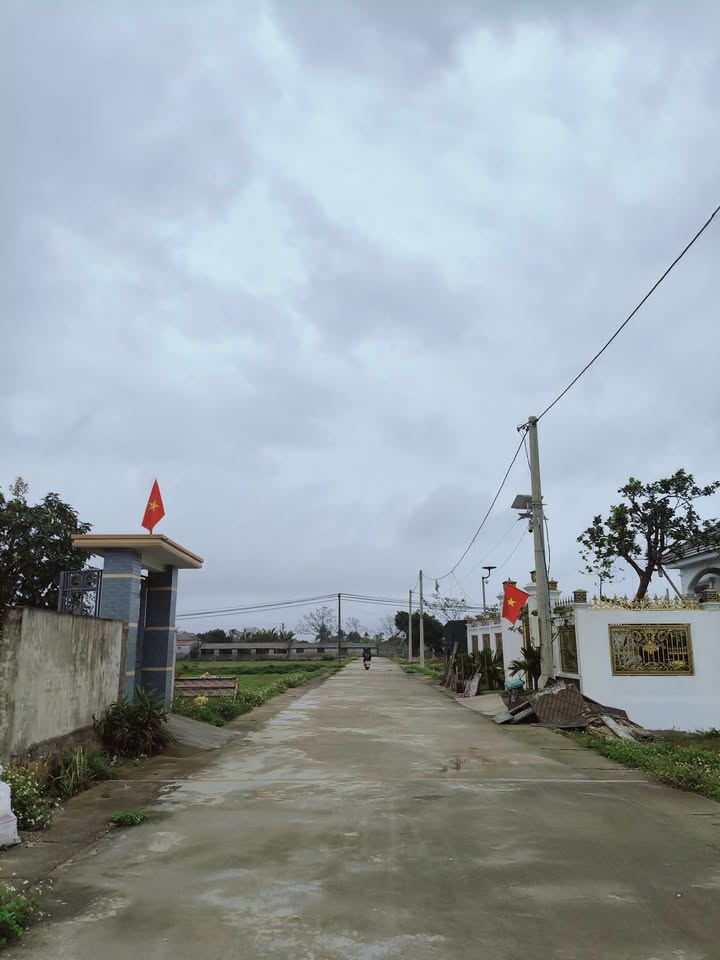 Đất nền Hòa Lộc Hậu Lộc 200m² - Sổ đỏ chính chủ, vị trí đẹp!