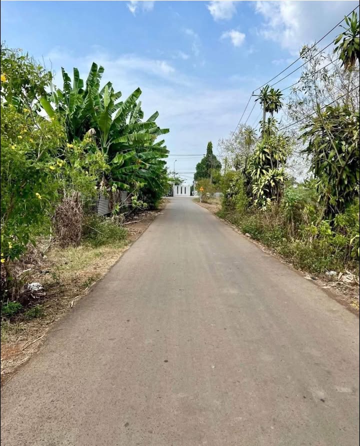 Đất nền Thống Nhất 530m² - Sổ đỏ chính chủ, tiềm năng tăng giá!