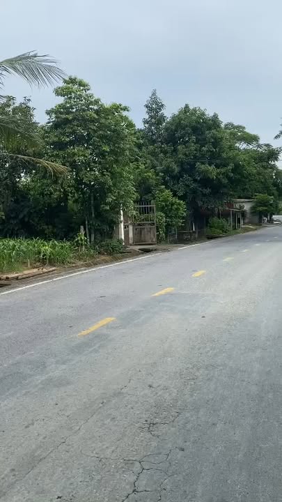 Đất nền Yên Lập, Phú Thọ - 105m² MT QL70, 700 triệu, Kinh doanh sinh lời