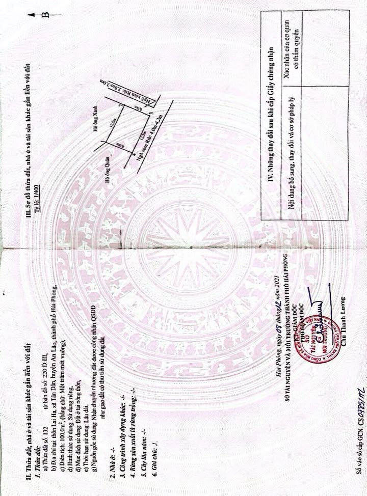 Đất nền An Lão 100m² giá 1 tỷ - Tiềm năng tăng giá vượt trội