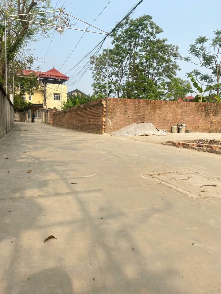 Đất Vàng Kinh Doanh Phú Ninh, Bắc Giang - 75m² Sổ Đỏ Sẵn Sàng