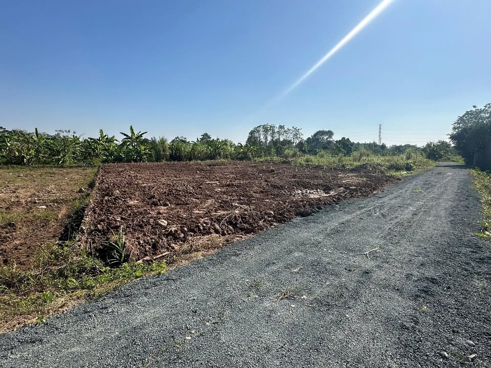 Đất nền Sài Sơn, Quốc Oai 462m² giá chỉ 1.4 tỷ - Sổ đỏ chính chủ!