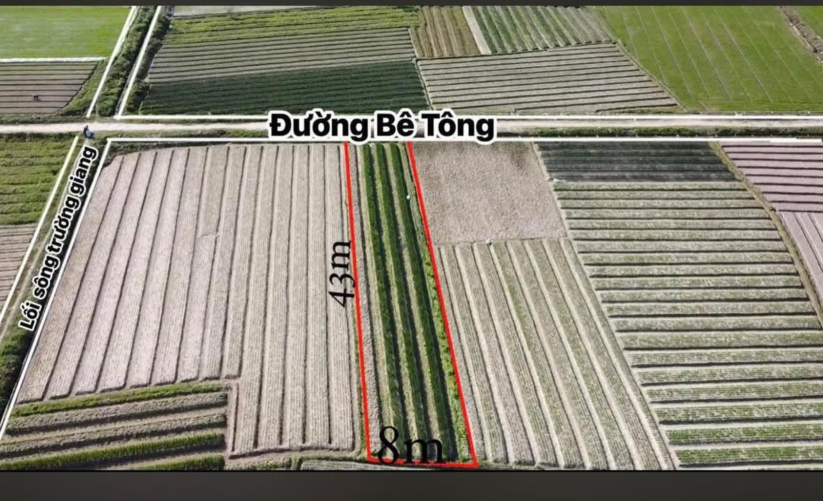 Đất Vườn Hiền Lương 347m² - Sổ Hồng Sẵn, Nghỉ Dưỡng Lý Tưởng!