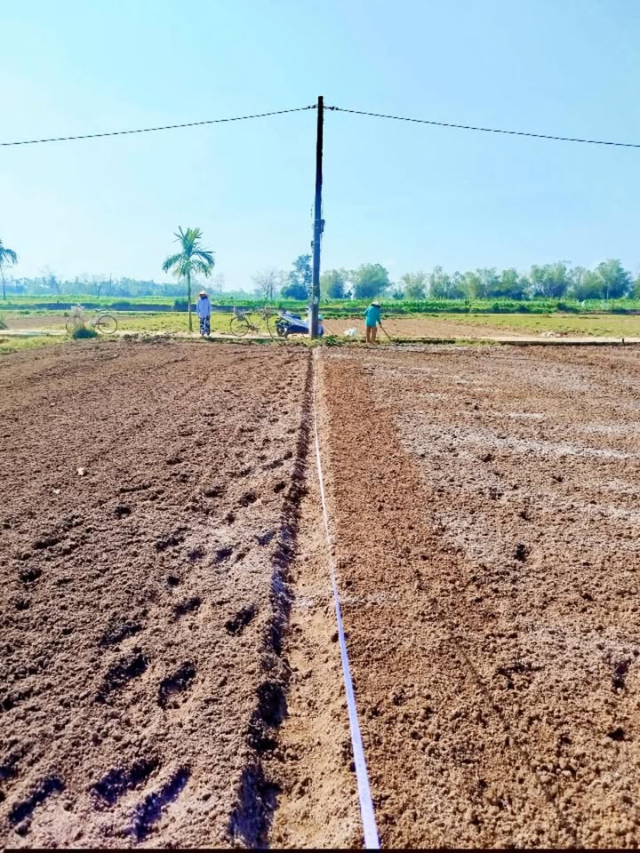 Bán Gấp Đất Trồng Cây 304m² Đà Nẵng - Chỉ 2xx Triệu