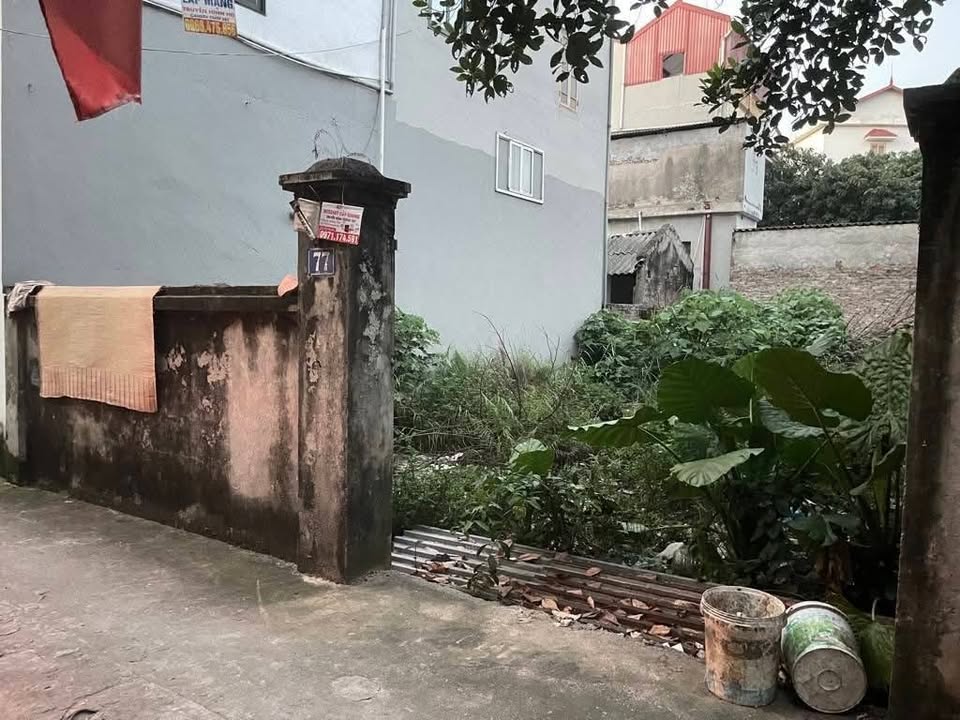 Đất nền Đại Đồng 116m² - Sổ đỏ chính chủ, ô tô đỗ cửa!