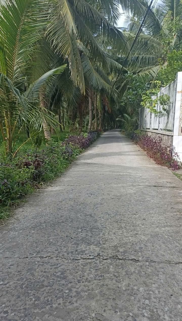 Nhà Đất Mặt Tiền Sơn Phú, Bến Tre 1.500m² chỉ 1.85 tỷ - Giá Tốt Hiếm Có!