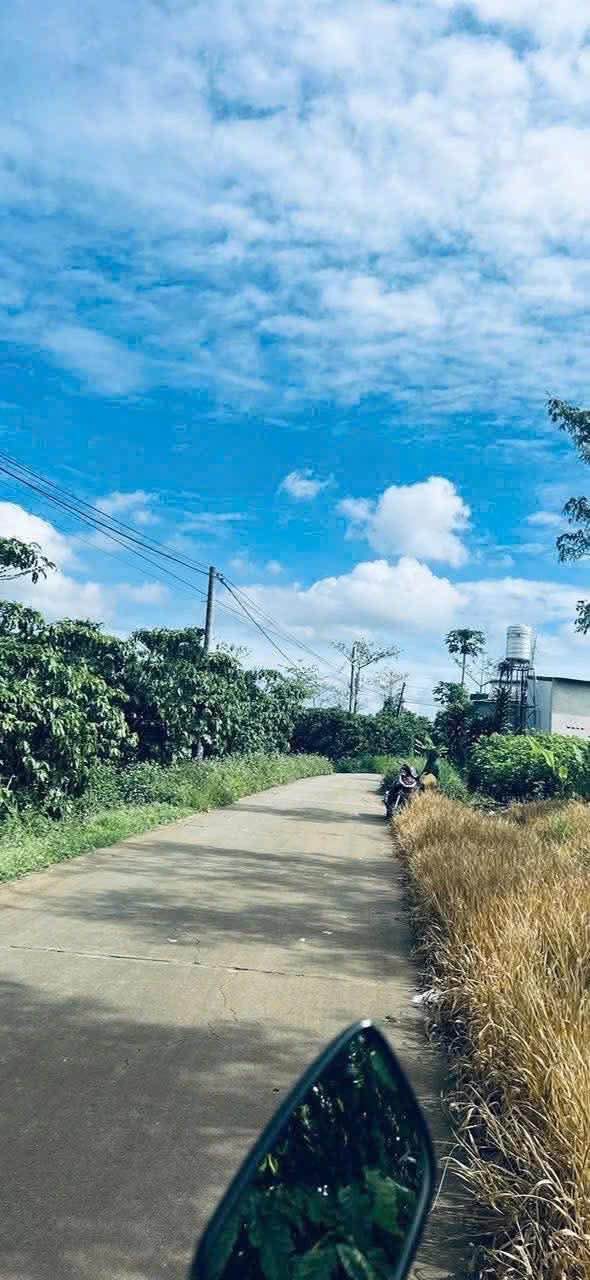 Đất nền Bảo Lâm 490m² giá 750 triệu - Sổ đỏ chính chủ!