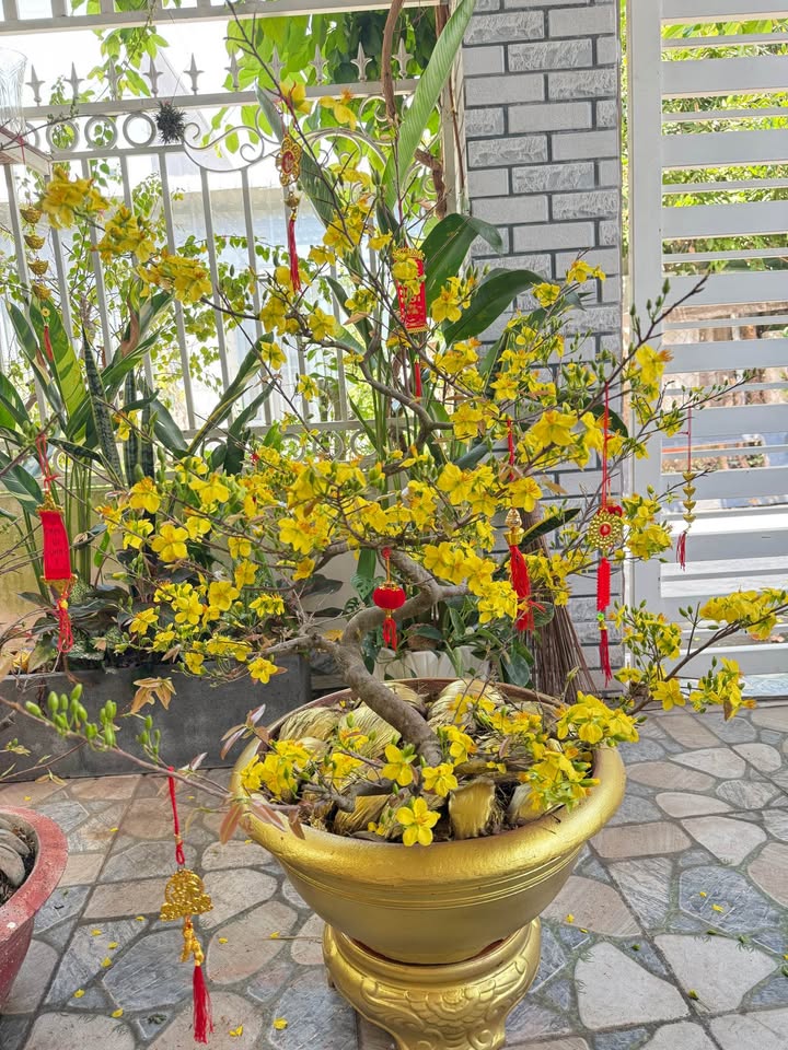 Đất Vườn Hàm Cường 2000m² - Sổ Hồng Riêng, Ôm Suối, Giá Đầu Tư 200 Triệu