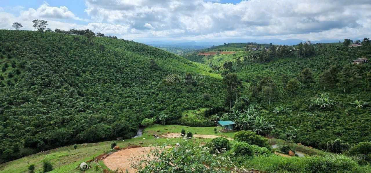 Bán đất vườn Phường 1 Bảo Lộc 1.1ha giá 8 tỷ - Nghỉ dưỡng lý tưởng