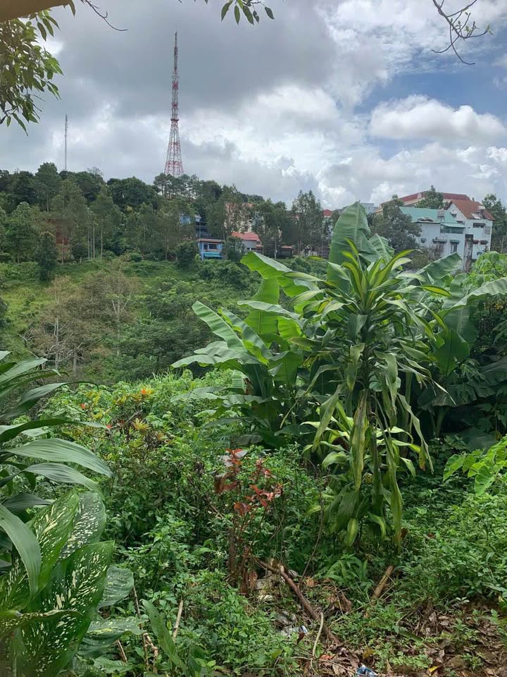 Đất Vàng Gia Nghĩa 648m² - Sổ Hồng Riêng, Giá Hơn 6 Tỷ