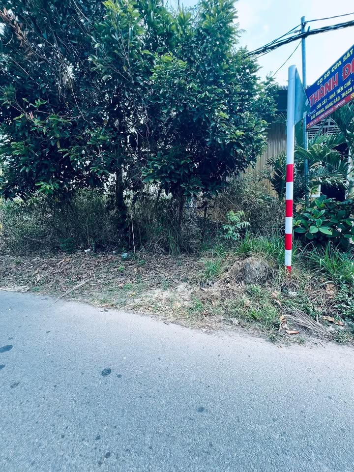 Đất nền Tân Phú Đồng Nai 225m² - Tiềm năng tăng giá!