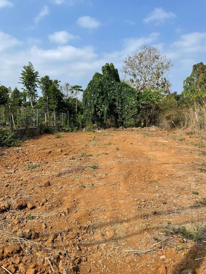 Đất Nền Mặt Tiền Nguyễn Chí Thanh, Tân Phú, 350m² - Sổ Hồng Sẵn Sàng