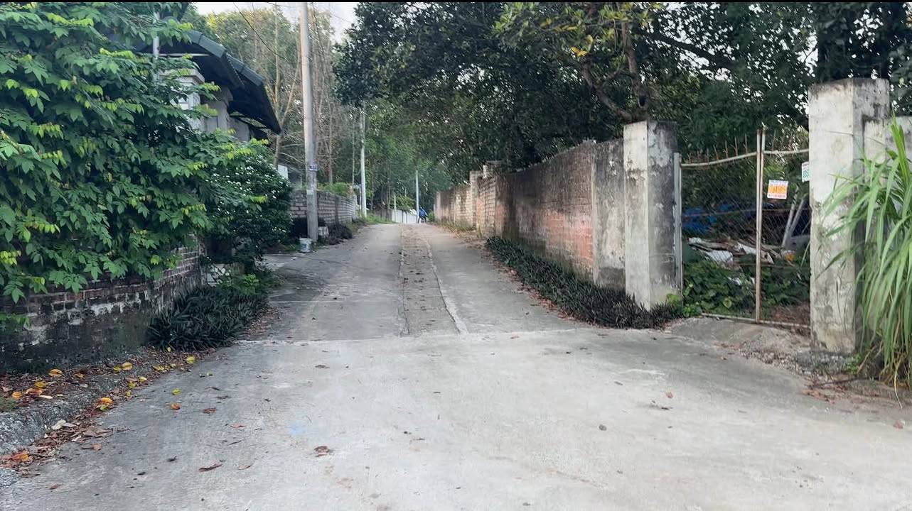 Đất nền Xuân Khanh, Sơn Tây 1219m² - Sổ đỏ chính chủ, lô góc 2 MT!