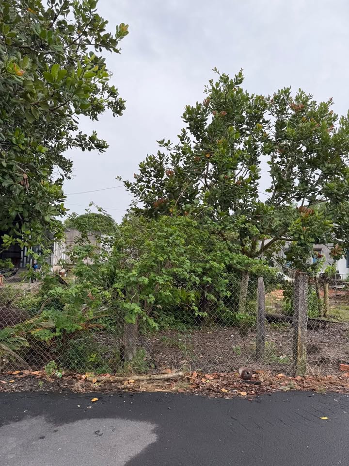 Đất nền Xuyên Mộc 306m² - Tiềm năng tăng giá vượt trội!