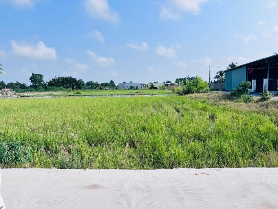 Đất nền Bến Lức, Long An 170m² - Tiềm năng tăng giá vượt trội!