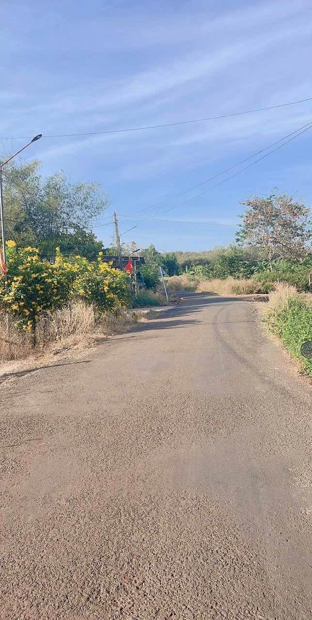 Đất nền 550m² Sổ đỏ Ấp Suối Cam, Đồng Xoài - Giá tốt 8xx Triệu