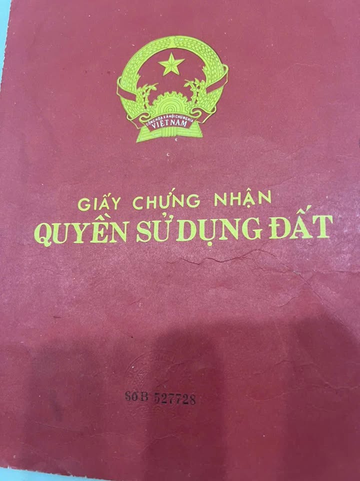 Đất Mặt Tiền Quốc Lộ 20 - 300m² Thổ Cư, Sổ Hồng Sẵn Sàng - Giá Tốt