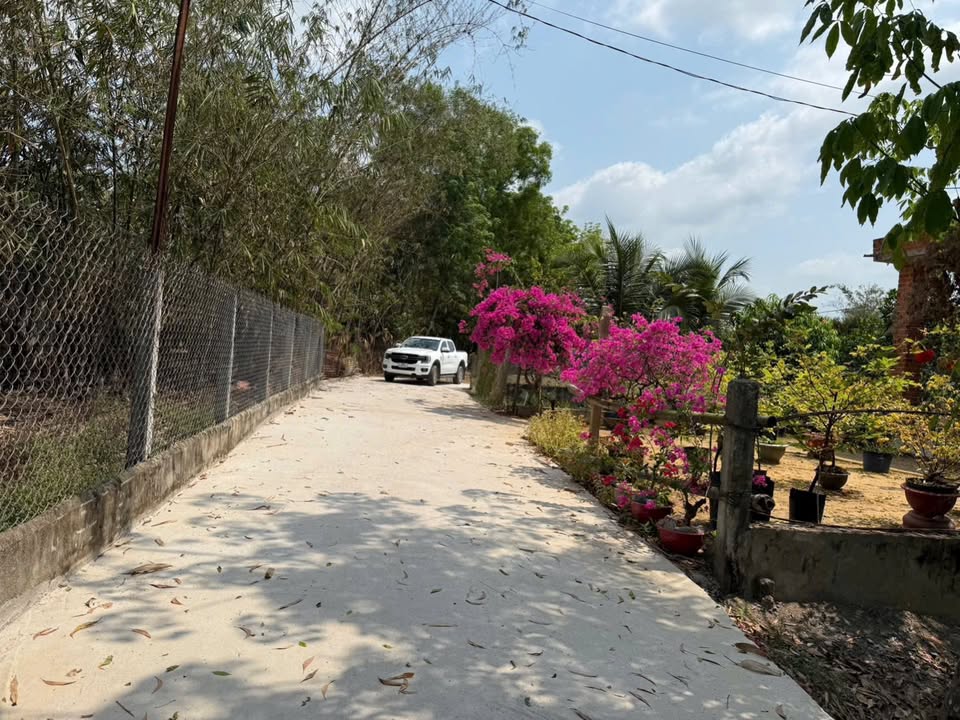 Đất nền An Tịnh, Trảng Bàng - Sổ đỏ chính chủ, công chứng nhanh