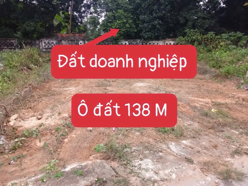 Đất nền Tam Hợp, Bình Xuyên 138m² - Sổ đỏ chính chủ, tiềm năng đầu tư!