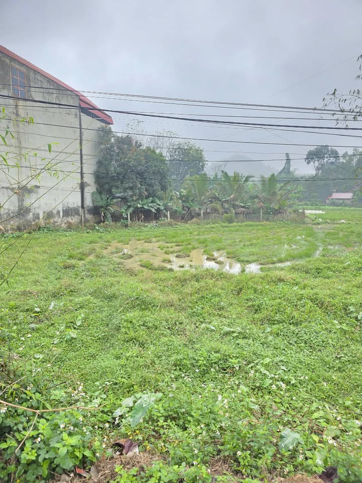 Đất nền Thôn Thống Nhất 100m² - Mặt tiền kinh doanh, sổ đỏ chính chủ!