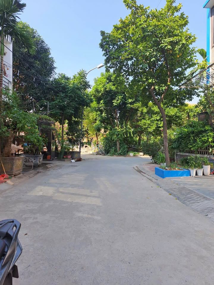 Đất nền Phường Kỳ Bá Thái Bình 63m² 3 tỷ - Sổ đỏ chính chủ