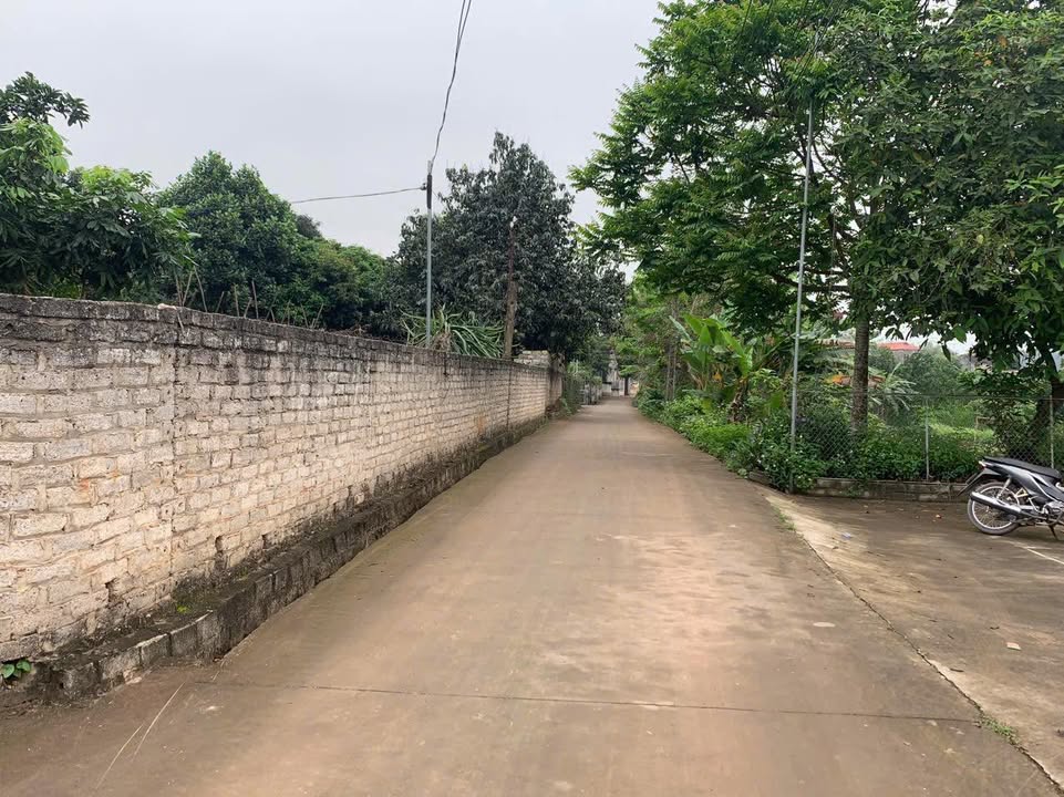 Đất nền Quang Thịnh Lạng Giang 128m² thỏa thuận - Đường ô tô