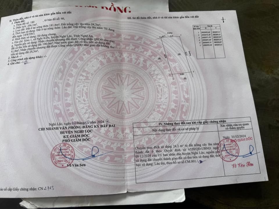 Đất nền Nghi Kiều Nghi Lộc 206m² - Tiềm năng tăng giá vượt trội!