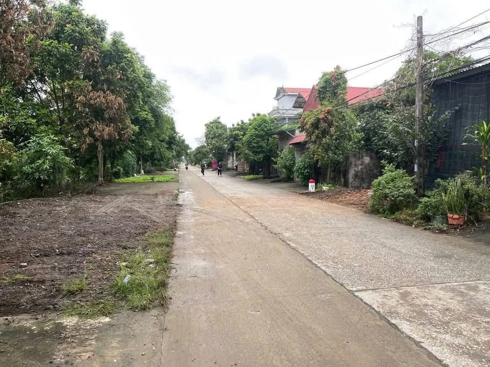 Đất nền Yên Thành 160m² - Sổ đỏ thổ cư, gần chợ, giá đầu tư 1.4 tỷ