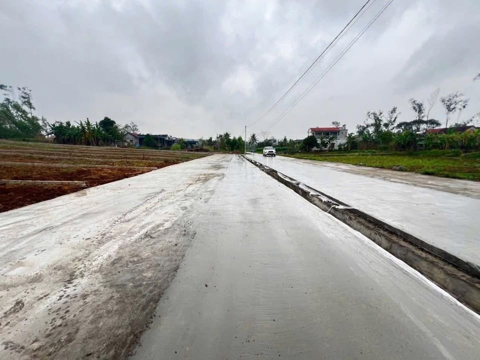 Đất Vàng Quỳnh Lưu - 168m² Bám Mặt Đường 12m, Sẵn Sàng Đầu Tư